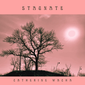 Stagnate