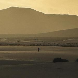 IL GIOCO DEI PERDENTI