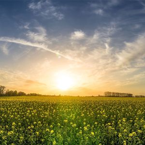 最痛的遗憾 (烟嗓版)