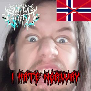 I Hate Norway