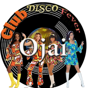 Club Disco Fever (Instrumental Version)