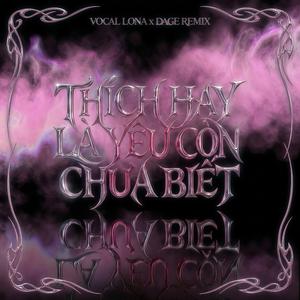Thích Hay Là Yêu Còn Chưa Biết (feat. Luminas) (Dage Remix Remix)