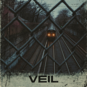 VEIL