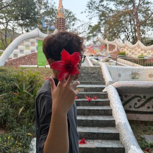 想共度一生的心如此清晰