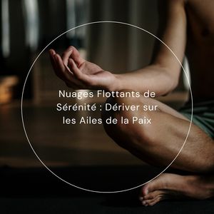 Réconfort Sacré : Nourrir l'Âme avec des Mélodies Douces (Séquence en Boucle)