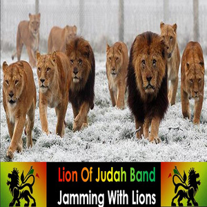 Jamming With Lions