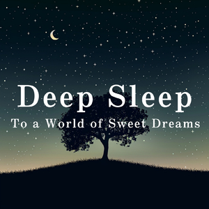 Soothing Night Realms