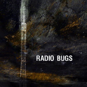 Feed On Morning Rain