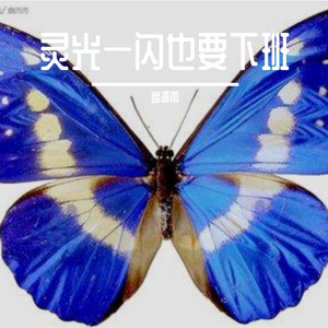 灵光一闪也要下班