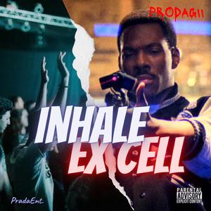 Shark Tales (feat. Vaia)