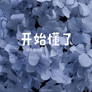 开始懂了(释怀版)