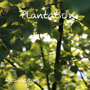 Plantation