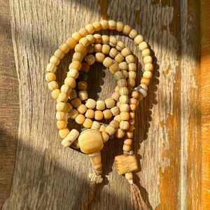 我们冲出来是为了更好的回去