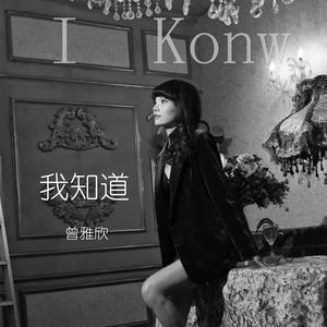 我知道 (伴奏)