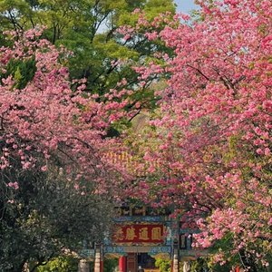 我们俩