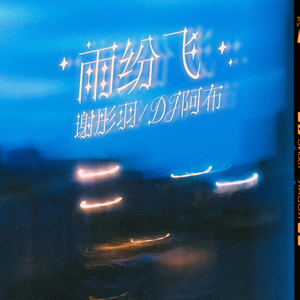 雨纷飞 (分飞DJ阿布版)