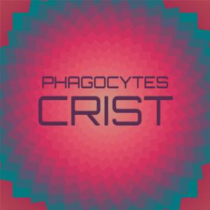 Phagocytes Crist