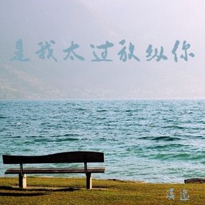 是我太过放纵你