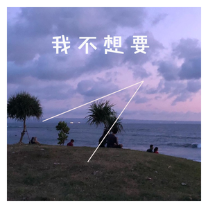 我不想要