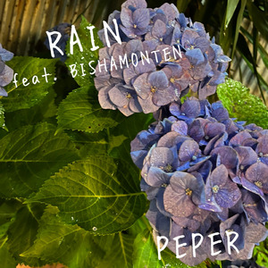 RAIN (feat. BISHAMONTEN)