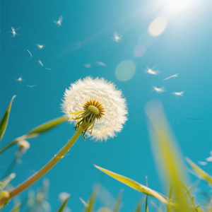 あの日の風と共に