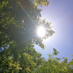 天很蓝（纯音乐）