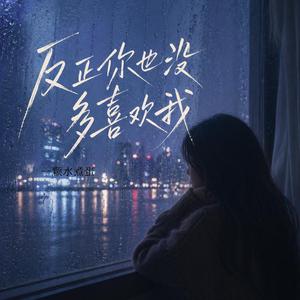 反正你也没多喜欢我