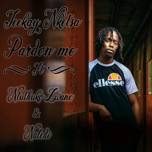 Pardon Me (feat. Ntuthuko Zwane & Naledi)