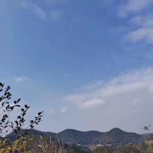 春至Prod by Siren&颜书艺（Kumark）