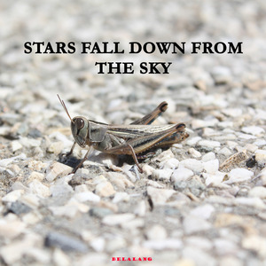 Stars Fall Down From The Sky