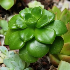 《爸爸妈妈不在家》词曲唱赵鑫