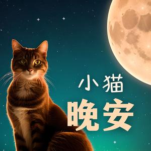 小猫最喜欢听的歌