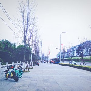 你总会出现