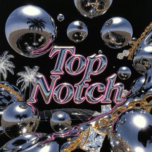 Top Notch (feat. Spazzy Bazzy, Big DMK, Dat Noyze, Grim Singmuf, Worm City Syndicate & SoundLane) (Cassingle Remix)