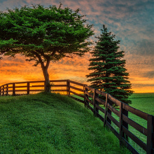 真実の愛の約束