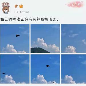 PADO（波涛）（中文填词）