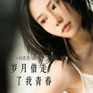 岁月借走了我青春 (伴奏)