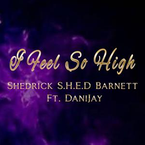 I Feel So High (feat. DaniJay)