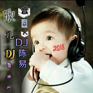 正道的光 - （陈易欣精心舞曲版）