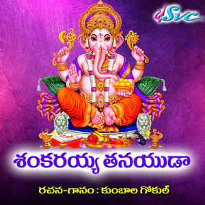 Shankarayya Tanayudaa