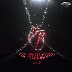 Vie Meilleure