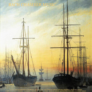 Concerto in F Minor for Violin, Strings and Continuo, Op. 8, No. 4, RV 297 "L'inverno" (Winter): III. Allegro