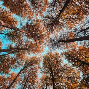 史诗燃曲｜千军之战