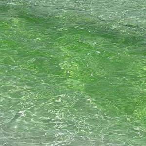 20220630130602格式转换