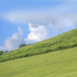 总有一天你会出现在我身边