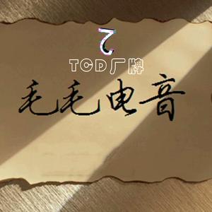 陆平-可惜(DJ毛建飞 Electronic mixing Rmix 2019)（TCD厂牌 / DJ毛建飞 remix）