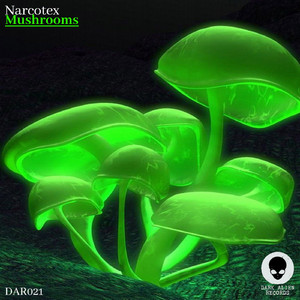 Mushrooms (Original Mix)