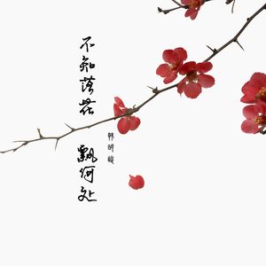 不知落花飘何处（古风纯音乐）