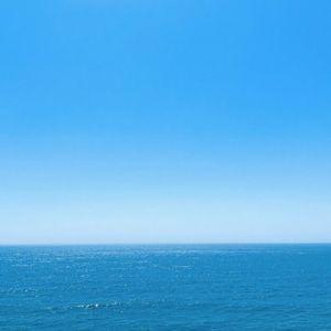 夜雨潇潇润无声