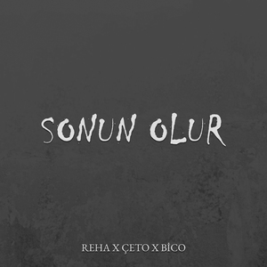 Sonun Olur